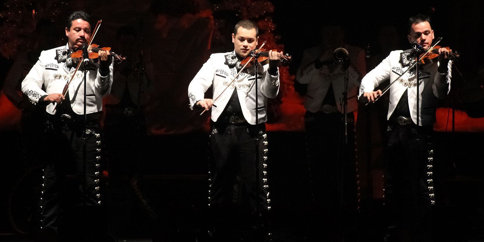 Three men in traditional Mexican mariachi clothing play violins
